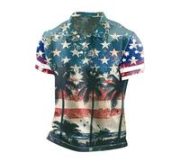 LOPILY Tops Plateados Holgada con Estampado 3D y Solapa para Hombre (Light Blue, XL)