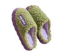 LOPILY Zapatillas Invierno Hombre zapatillas de casa de dinosaurio para hombres zapatos de interior de invierno (Green, 36-37)