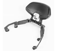 Lorababer FORZA350 21-22 Respaldo bajo desmontable para pasajeros Sissy Bar vertical compatible con Ho-nda Forza 350 Forza350 2021 2022 Almohadilla de respaldo de esponja (plata)