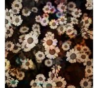 L'Orange - The World Is Still Chaos, But I Feel Better