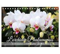 L'orchidée Phalaenopsis (Calendrier de bureau 2027 DIN A5 vertical), CALVENDO calendrier mensuel: Le Phalaenopsis est la star incontestée des orchidées