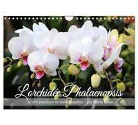 L'orchidée Phalaenopsis (Calendrier mural 2027 DIN A4 vertical), CALVENDO calendrier mensuel: Le Phalaenopsis est la star incontestée des orchidées
