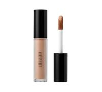 Lord & Berry - Cover Up Concealer Cream - 6 Colors #Cocoa - 4.5ml
