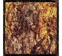 Lord mantis - Universal death church