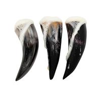 Lord of Battles Medieval Viking Drinking Horns Set of 3 Pieces Genuine Ox Horn Norseman Beer Drinking Vessel Horn for Ale Mead for Men and Women (Plain, 80-100 ML)