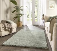 Lord of Rugs Alfombra lanuda de lujo para sala de estar, acogedora alfombra de felpa de alta calidad, 5,5 cm de grosor, suave, esponjosa, para dormitorio, color verde eucalipto, tamaño pequeño, 80 x
