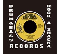 Lord Tanamo - In The Mood For Ska [Vinilo]