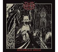 Lord Vigo - Blackborne Souls