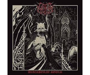 Lord Vigo - Blackborne Souls