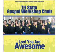 Lord You Are Awesome