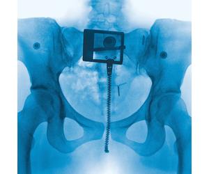 Lorde Virgin Limited Edition Bathwater Vinyl (Vinyl) (Importación USA)