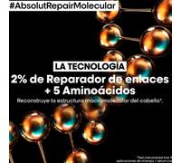 Loreal expert absolut repair