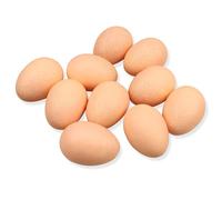 Lorigun 10pcs Artificial Egg Fake Food Faux Kitchen Decor Theatre Prop