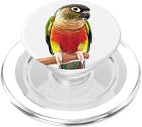Loro pájaro Verde mejilla Conure PopSockets PopGrip para MagSafe