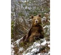 Los Animales de Esopo: La ciencia detrás de las fábulas (Naturaleza Salvaje)