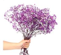 Los Bebés Respiran Ramos de Flores Secas 70g 2000+Natural Dried Flowers Baby's Breath La Verdadera Rama Gypsophila Jarrón Mesa Bodas Fiesta Jardín DIY Guirnaldas Flores Decoración del Hogar(Morado)