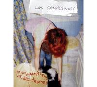 Los Campesinos WE ARE BEAUTIFUL, WE ARE... (CD) (Importación USA)