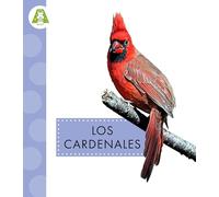 Los Cardenales (Aves del Jardín)