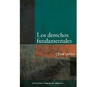 Los Derechos Fundamentales