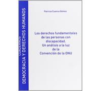 Los Derechos fundamentales de las personas con discapacidad. Un análisis a la luz de la Convención de la ONU (Monografías Derecho)