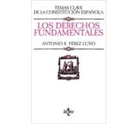 Los Derechos Fundamentales (ebook)