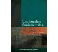 Los Derechos Fundamentales (ebook)