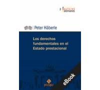 Los Derechos Fundamentales En El Estado Prestacional (ebook)