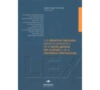 Los Derechos Laborales Desde La Perspectiva De La Teoria General Del C