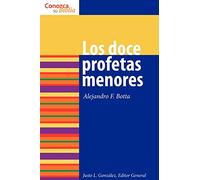 Los doce profetas menores: The Twelve Minor Prophets (Conozca su Biblia)