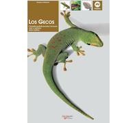 Los gecos: Consejos prácticos para conocer, criar y admirar estos reptiles