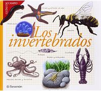 Los invertebrados (Guías de campo)