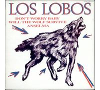 Los Lobos - Don't Worry Baby