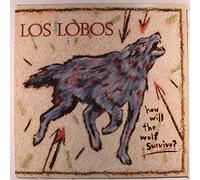Los Lobos - how will the wolf survive?