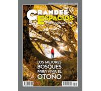 Los mejores bosques para vivir el otoño: Grandes Espacios 305