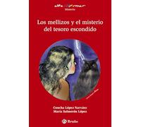 Los mellizos y el misterio del tesoro escondido (Castellano - A PARTIR DE 12 AÑOS - ALTAMAR)
