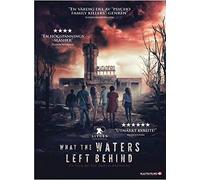 Los olvidados (What The Waters Left Behind) DVD Region 2