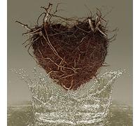 Los Planetas - Las Canciones del Agua [Vinilo]