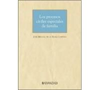 Los Procesos Civiles Especiales De Familia
