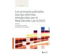 Los procesos judiciales tras las reformas introducidas por el Real Decreto-Ley 6/2023