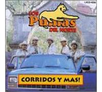 Los Pumas Del Norte - Corridos Y Mas [Casete]
