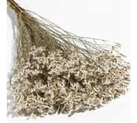 Los Ramos de Flores secas Naturales de Aliento de bebé se Pueden Usar para arreglos Florales, empaques de Regalo y Hacen Que la Vida hogareña esté Llena de Sentido Ritual. (Blanco)