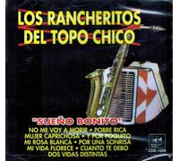 Los Rancheritos Del Topo Chico "Sueno Bonito"
