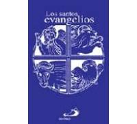 Los santos Evangelios: Recuerdo de mi Primera Comunión (funda opaca) (Nuevo Testamento)