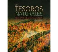 Los tesoros naturales del pirineo aragonés (GUIAS MONTA?ERAS)