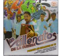 Los Vallenatos De La Cumbia,porque Me Enamore De Ti...