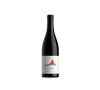 Bierzo Losada 2020