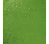 Losinger - The Five Elements [Import]