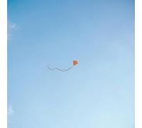 Lost Found and Forgotten [Vinilo]