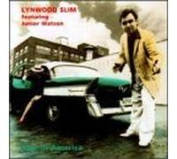 Lost in America by Lynwood Slim