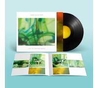 Lost In Another World - Vinilo